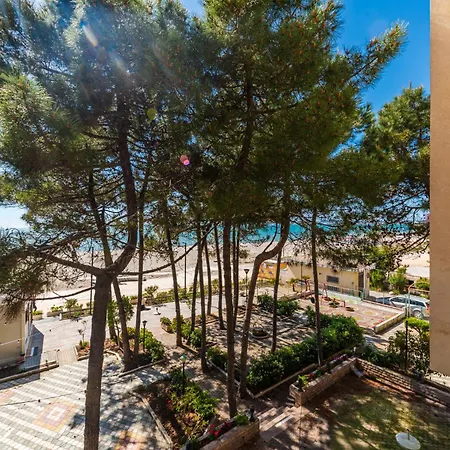 Seaview Pine By Ps